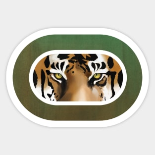 Intense stare from a tiger Sticker